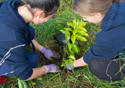 Diocesan School for Girls – Community Service